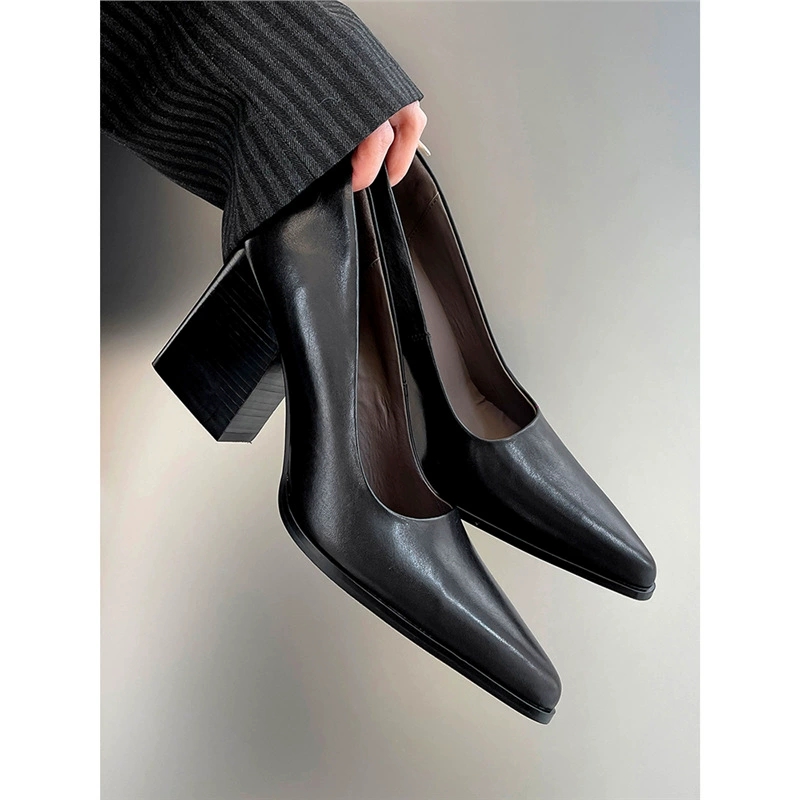 Sepatu Wanita Model Pumps 2026 - Court Heel Pointed ulasan dan harga